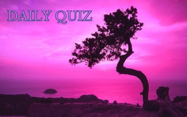 Daily Quiz - Enjoy a moment of relaxation and dive into our quiz