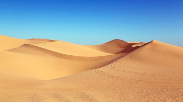 What is the largest desert in the world?