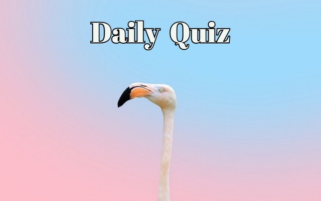 Daily Brain Teaser: 8 Questions to Test Your Smarts